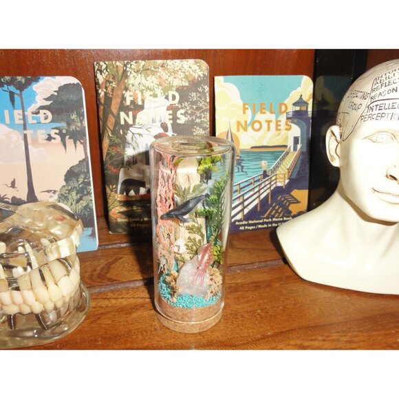 Humpback Whale & Squid Ocean Themed Oddity Jar curiosity dome crystal sea life - Picture 9 of 15